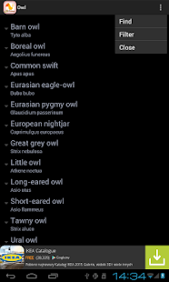 Free Download Polish Birds APK for Android