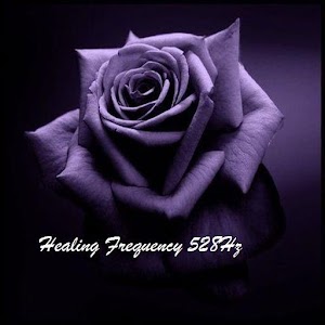 Healing Frequency 528Hz.apk 1.0.0