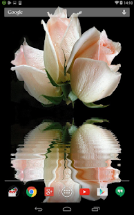 How to download Roses Animated Live Wallpaper patch 1.1.1 apk for android