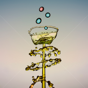 graded by Robert  Fly - Abstract Water Drops & Splashes