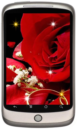 Wedding Roses live wallpaper