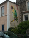 Cheeky Bird Mural 