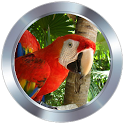 Animal Sounds Ringtones icon