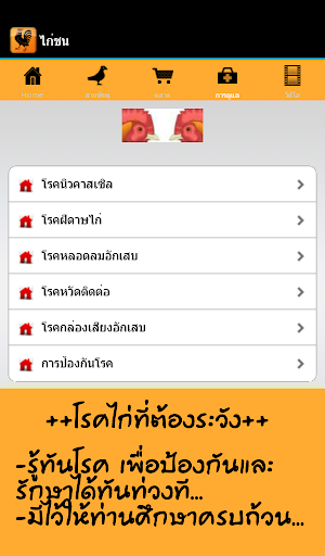 【免費運動App】ไก่ชน ตลาด สินค้า ข่าวสาร-APP點子