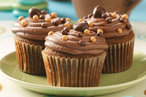 Spice Cupcakes with Mocha Frosting