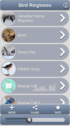免費下載音樂APP|Bird Ringtones app開箱文|APP開箱王