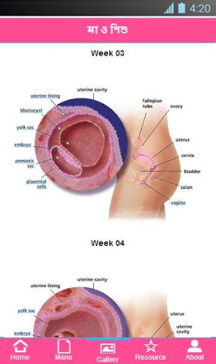 【免費醫療App】Ma o Shishu (Pregnancy Guide)-APP點子