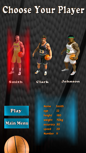 Basketball Madness Pro