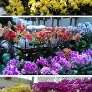 菁芳園 Tenway Garden／花園餐廳／落羽松