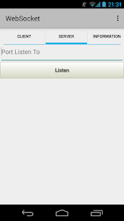 WebSocket Screenshots 2