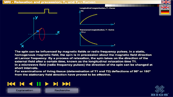 MRI Relaxation + precession APK צילום מסך #9