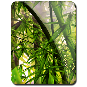 Bamboo Forest Live Wallpaper 1.0