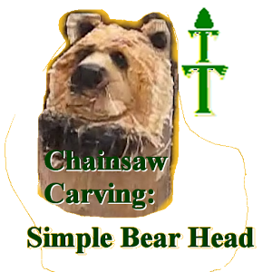 How-To Carve: Simple Bear Head 1.0