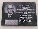 Владимир Модестович Брадис