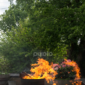 Bonfire by Dunstan Vavasour - Artistic Objects Still Life