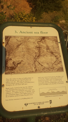 Ancient Sea Floor