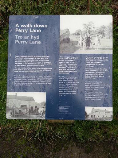 Perry Lane Memories