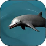 Coral Reef Dolphin Simulator Apk