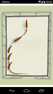 Cavallo ReitCoach - screenshot thumbnail