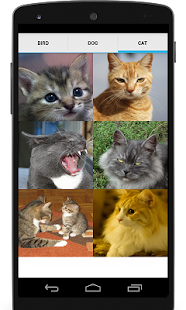 Animal Sounds (Bird,Dog,Cat) Screenshots 1