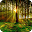 3D Forest Download on Windows