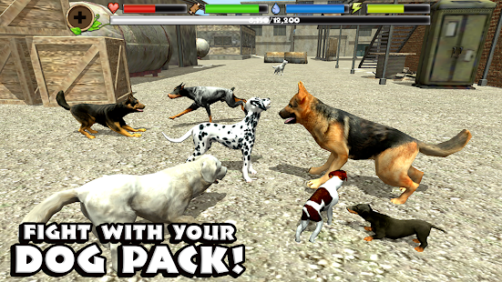 Stray Dog Simulator - screenshot