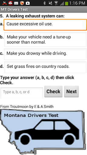 MT Drivers Test