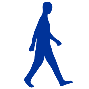 Free Download 3D Lider APK