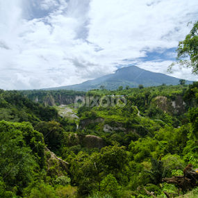Padang Forest by Vitto Arvin - Landscapes Forests