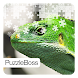 Lizard Jigsaw Puzzles