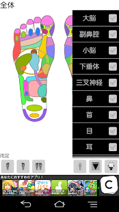 和鍼灸院式足裏反射区（仮）