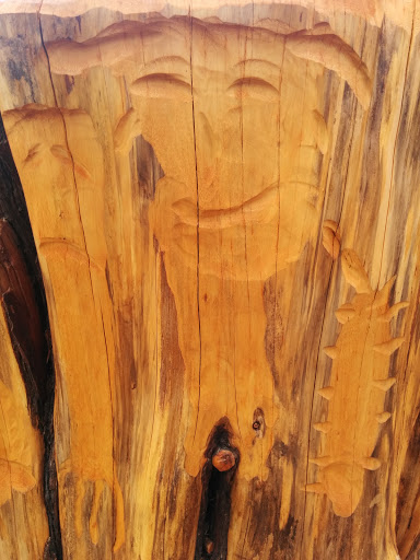 A Face in the Wood