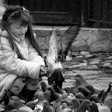 by Katarina Ivičević -  