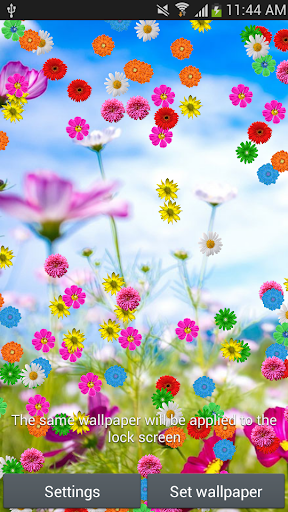 Spring Flowers Live Wallpaper