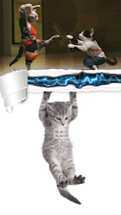 Free Cute Cat Games APK