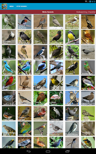 【免費教育App】South American Birds Free-APP點子