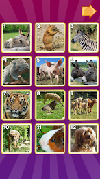 Mori Picture Puzzle poster 1