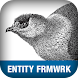 Entity Framework