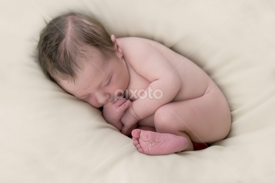 curled up and comfy by Sandra Veech - Babies & Children Babies