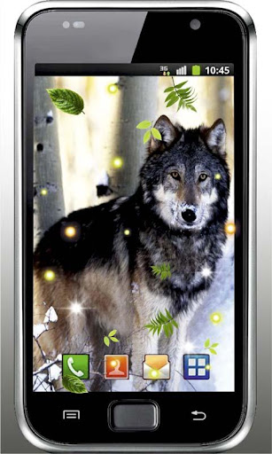 【免費個人化App】Wolves Gallery live wallpaper-APP點子