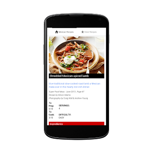 Mexican Recipes Screenshots 4