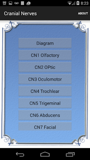 Cranial Nerves