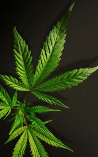 Weed Live Wallpaper