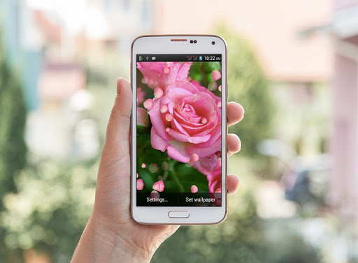 Pink Rose HD LiveWallpaper