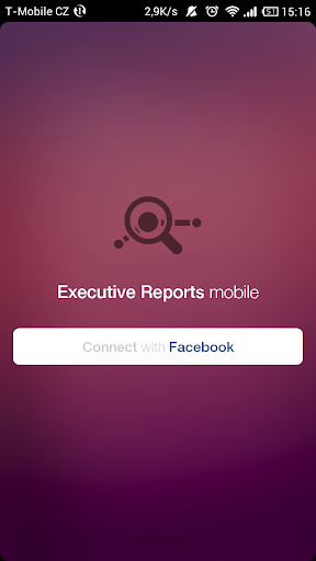 Socialbakers Reports