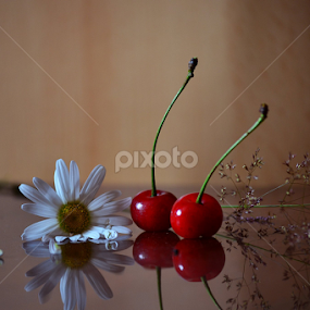 Diva by Neli Dan - Artistic Objects Still Life