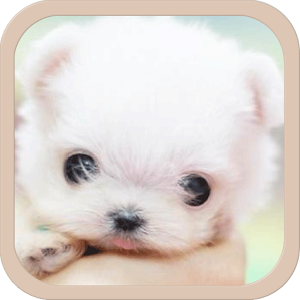 Pets Ringtones 1.3