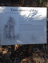 Tasmanian Garden