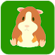 Hamster