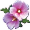 무궁화대리 logo
